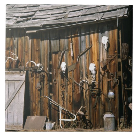 Carreau États-Unis, Oregon, Comté de Harney. Ancienne écur (Devant)