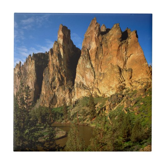Carreau États-Unis, Oregon, Falaises de granit à Smith Roc (Devant)