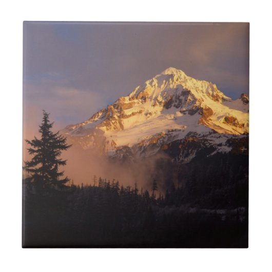 Carreau États-Unis, Oregon, Mt Hood National Forest (Devant)