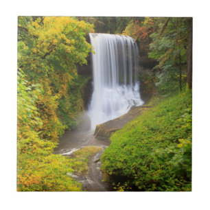 Carreau États-Unis, Oregon, Silver Falls State Park 3