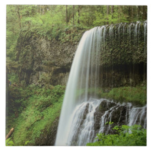 Carreau États-Unis, Oregon, Silver Falls State Park. Infér