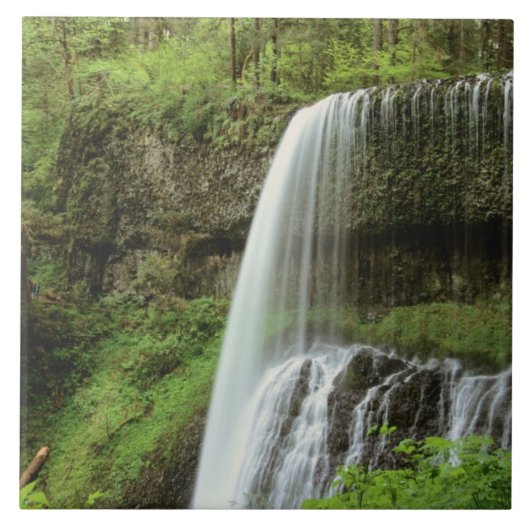 Carreau États-Unis, Oregon, Silver Falls State Park. Infér (Devant)