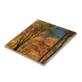 Carreau États-Unis, Tennessee. Chute (Côté)