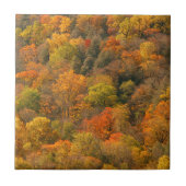 Carreau États-Unis, Tennessee. Édifice d'automne 2 (Devant)