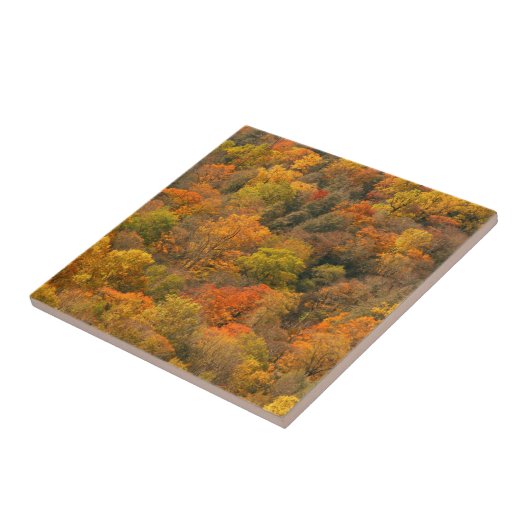 Carreau États-Unis, Tennessee. Édifice d'automne 2 (Côté)