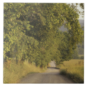 Carreau États-Unis, Tennessee, Great Smoky Mountains Natio