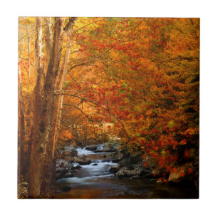 Carreau États-Unis, Tennessee. Rushing Mountain Creek 2