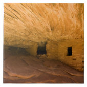 Carreau États-Unis, Utah, Cedar Mesa, Mule Canyon.Grès (Devant)