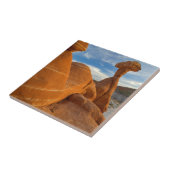 Carreau États-Unis, Utah, grand escalier Escalante-Nationa (Côté)