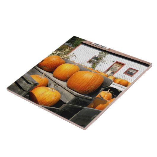 Carreau États-Unis, Vermont.Citrouilles (Côté)