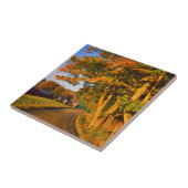 Carreau États-Unis, Vermont, South Woodstock (Côté)