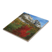 Carreau États-Unis, Virginie-Occidentale, Rochers de Spruc (Côté)