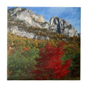 Carreau États-Unis, Virginie-Occidentale, Spruce Knob-Sene