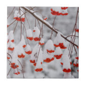 Carreau États-Unis, Washington, comté de Spokane (Devant)