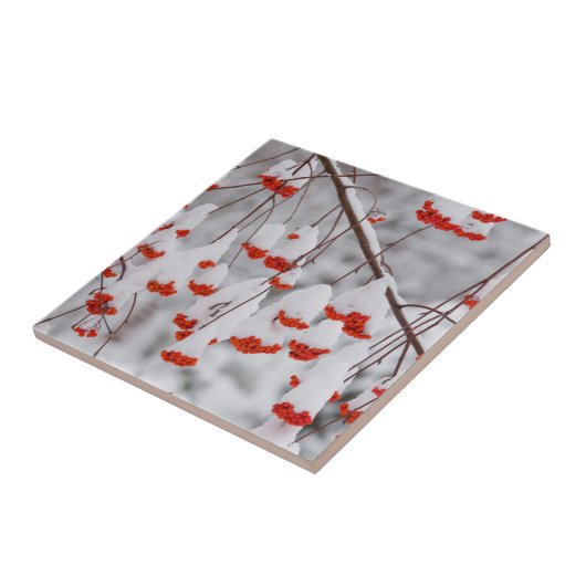 Carreau États-Unis, Washington, comté de Spokane (Côté)