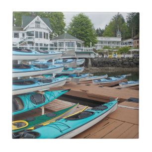 Carreau États-Unis, Washington, Îles San Juan