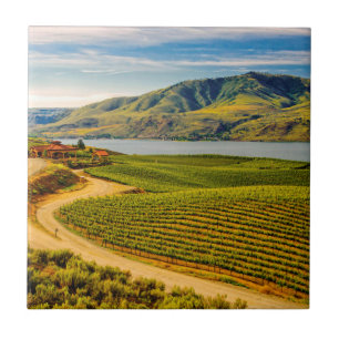 Carreau États-Unis, Washington, lac Chelan. Benson Vineyar