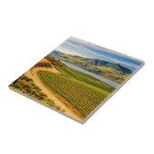 Carreau États-Unis, Washington, Lac Chelan. Les vignobles (Côté)