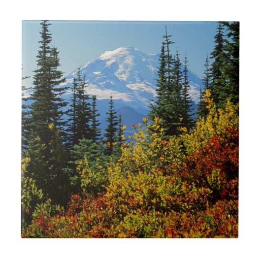 Carreau États-Unis, Washington, Mt. Rainier National Park (Devant)