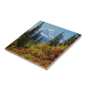 Carreau États-Unis, Washington, Mt. Rainier National Park (Côté)