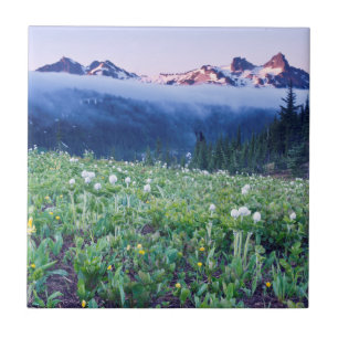 Carreau États-Unis, Washington, Parc national du mont Rain