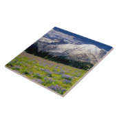 Carreau États-Unis, Washington, Parc national du Mont Rain (Côté)