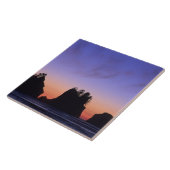 Carreau États-Unis, Washington, Parc national olympique, S (Côté)