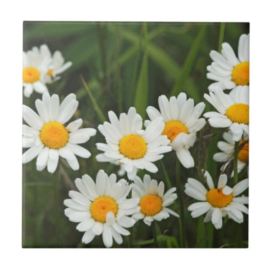 Carreau États-Unis, Washington, Seattle, Puget Sound 3 (Devant)