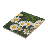 Carreau États-Unis, Washington, Seattle, Puget Sound 3 (Côté)