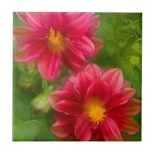 Carreau États-Unis, Washington, Whidbey Island. Montage d