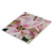 Carreau États-Unis, Washington, Woodinville, Molbak's Nurs (Côté)