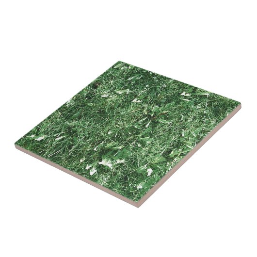 Carreau Été (Côté)