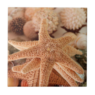 Carreau Étoiles de mer séchées vendues comme souvenirs