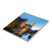 Carreau Étonnant ! Bruges Belgique - Pro Photo (Côté)