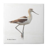 Carreau Étonnant oiseau à pattes à la plage américain Avoc (Devant)