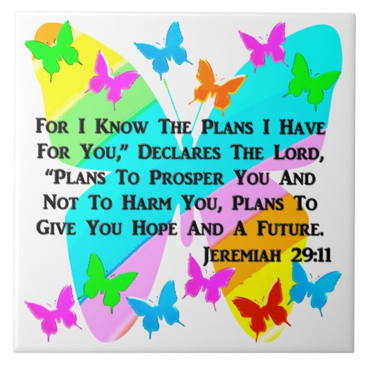 CARREAU ÊTRE INSPIRÉ JEREMIAH 29:11 (Devant)