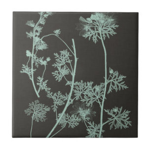 Carreau Étude de nature de menthe et de charbon de bois IV