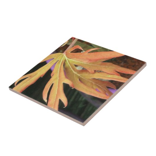 Carreau Étude sur la feuille 2 (Côté)