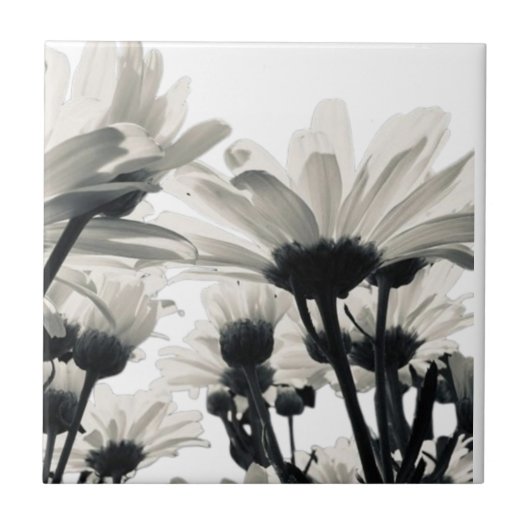 Carreau Étui pour iPhone Case-Mate Desert Blooms (Devant)