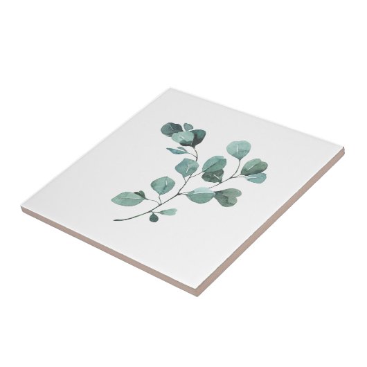 Carreau Eucalyptus gracieux (Côté)