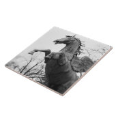 Carreau Europe, Autriche, Salzbourg. statue de cheval ailé (Côté)