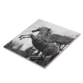 Carreau Europe, Autriche, Salzbourg. statue de cheval ailé (Côté)