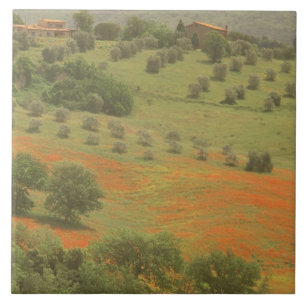 Carreau Europe, Italie, Toscane, Val D'Orcia, Mont