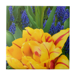 Carreau Europe, Pays-Bas, Lisse. Tulipes