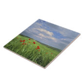 Carreau Europe, Toscane, Poggiolo. Voie rouge (Côté)