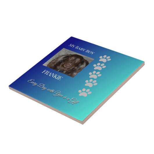 Carreau Everyday Pawprints Tribute (Côté)