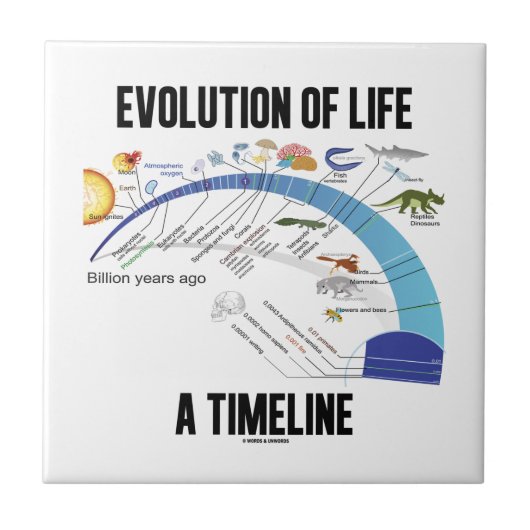 Carreau Évolution de la vie une chronologie (biologie) (Devant)