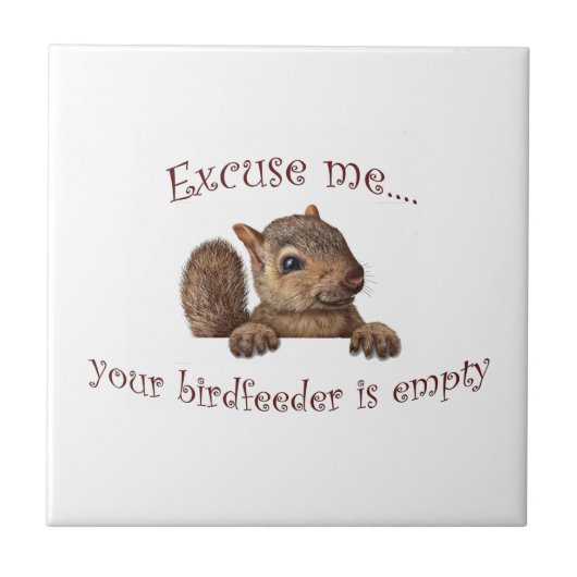 Carreau Excusez-moi...votre chargeur d'oiseaux est vide (Devant)