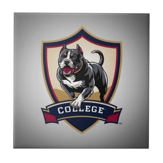 Carreau Exécution du logo PitBull College (Devant)