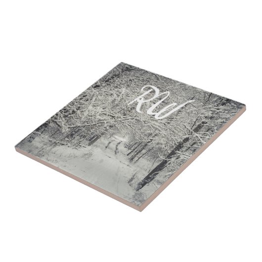 Carreau Explorez les sentiers forestiers d'hiver (Côté)